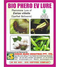 Combo Pack of Bio Phero EV (Spotted Bollworm) Lure & Funnel trap set (Pack of 10 Pieces)